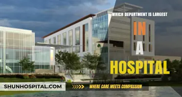 Exploring the Largest Hospital Department: Structure, Roles, and Impact