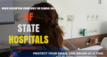Understanding State Hospitals' Clinical Role: Key Descriptions and Responsibilities