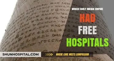 Mauryan Empire's Legacy: Free Healthcare in Ancient India