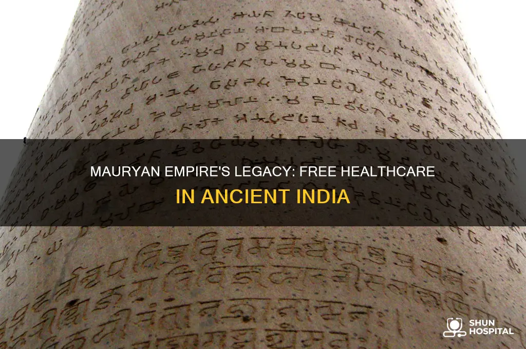 which early indian empire had free hospitals