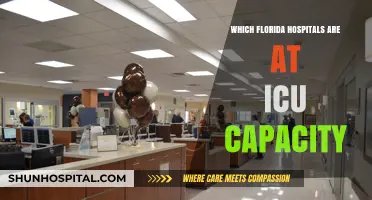 Florida Hospitals at ICU Capacity: Current Status and Updates