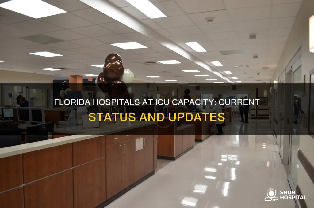 which florida hospitals are at icu capacity
