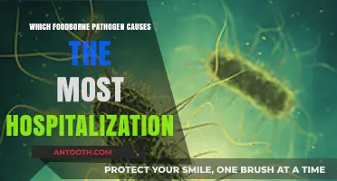 Deadly Foodborne Pathogens: Which One Tops Hospitalization Rates?