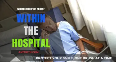 Unsung Heroes: Exploring the Vital Roles Within Hospital Teams