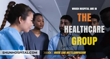 Exploring the Network: Hospitals Within the Healthcare Group Revealed