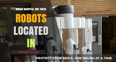Discovering the Hospitals Where Advanced Robots Are Revolutionizing Healthcare