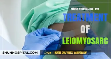 Top Hospitals for Leiomyosarcoma Treatment: Expert Care and Outcomes
