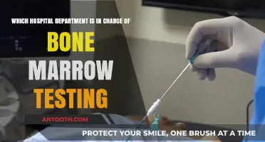 Bone Marrow Testing: Which Hospital Department Handles the Procedure?