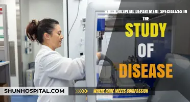Unveiling Pathology: The Hospital Department Dedicated to Disease Study