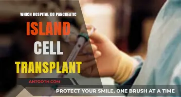 Pancreatic Islet Cell Transplant: Leading Hospitals and Expert Care