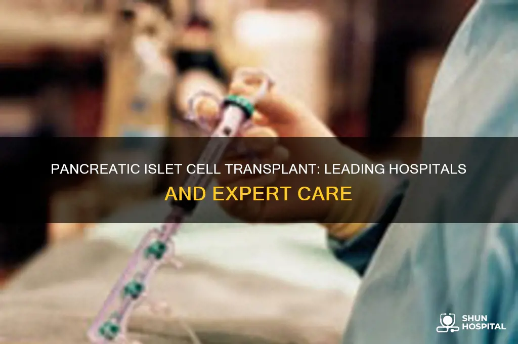 which hospital do pancreatic island cell transplant