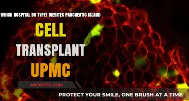 UPMC Pancreatic Islet Cell Transplant: Hope for Type 1 Diabetes