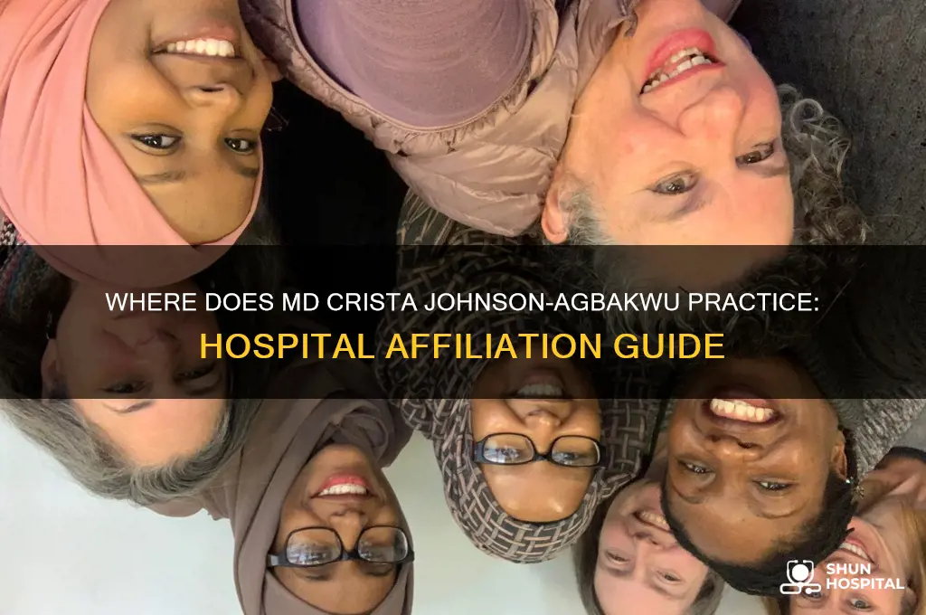 which hospital does md crista johnson-agbakwu