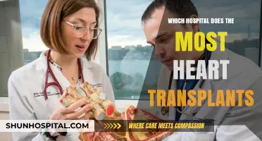 Leading Heart Transplant Centers: Which Hospital Tops the List?