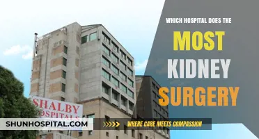 Leading Kidney Surgery Centers: Which Hospital Tops the List?