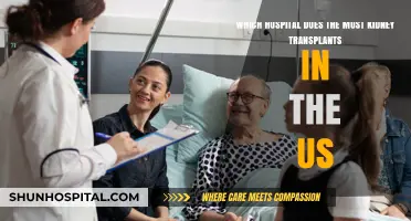 Leading US Hospitals for Kidney Transplants: Who Tops the List?