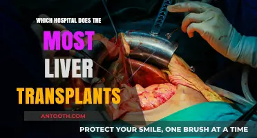 Leading Liver Transplant Centers: Which Hospital Tops the List?