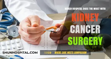 Top Hospitals Leading Kidney Cancer Surgery: Expertise and Outcomes Compared