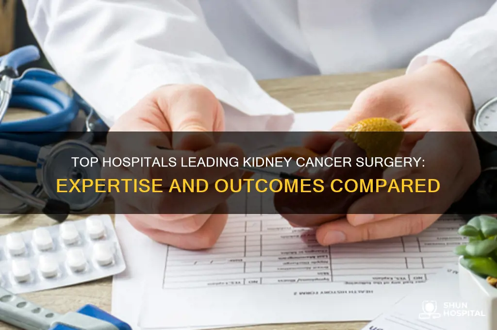 which hospital does the most with kidney cancer surgery
