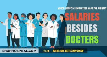 Top-Paid Hospital Roles: High-Earning Professionals Beyond Physicians