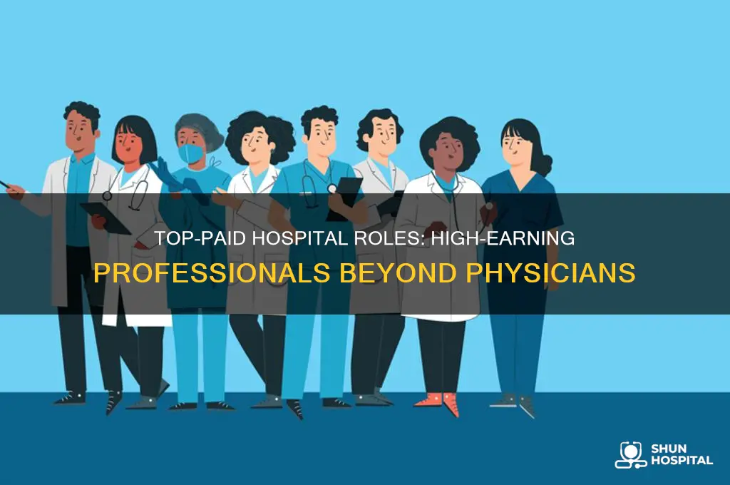 which hospital employees have the highest salaries besides docters