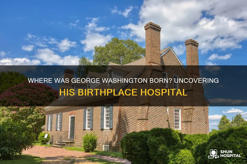 which hospital give birth george washington hospital