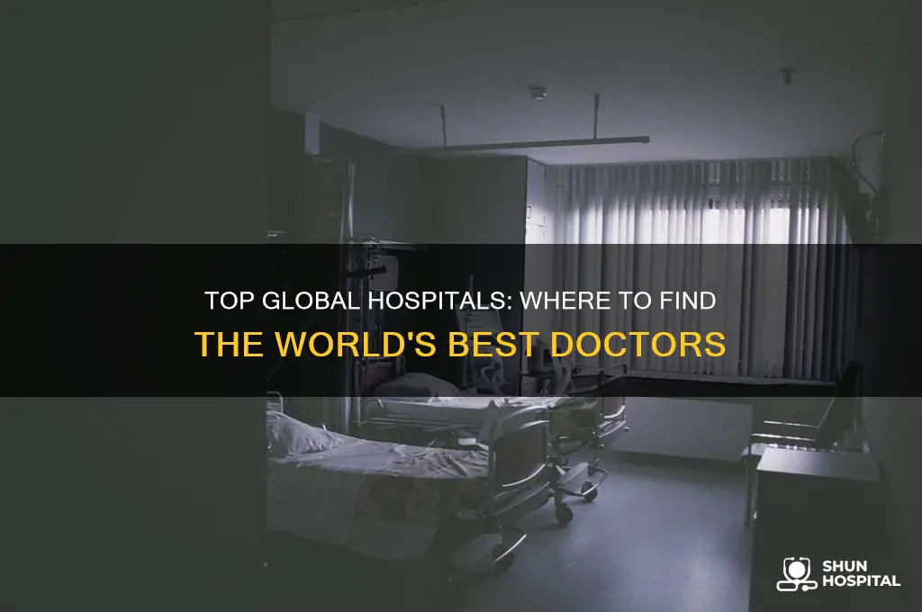 which hospital has the best doctors in the world