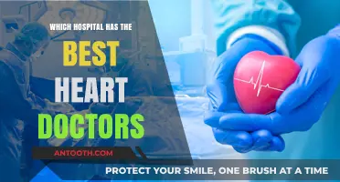 Top Heart Doctors: Where to Find the Best Care