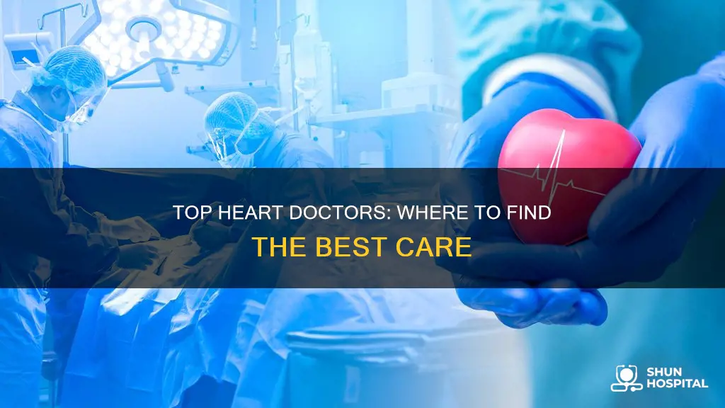 which hospital has the best heart doctors
