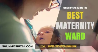 Top Maternity Wards: Finding the Best Hospital for Your Baby's Arrival