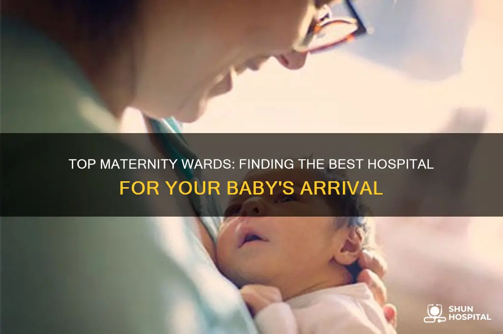 which hospital has the best maternity ward