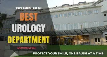 Top Urology Departments: Ranking the Best Hospitals for Expert Care