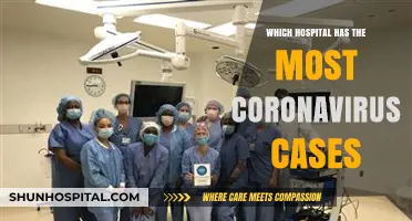Tracking COVID-19 Hotspots: Which Hospital Reports the Most Cases?
