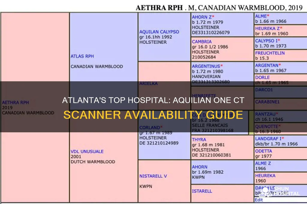 which hospital in atlanta has aaquilian one ct scanner