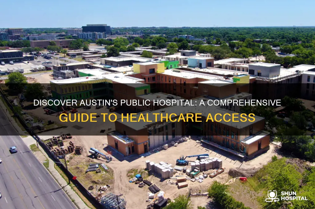which hospital in austin is considered a public hospital