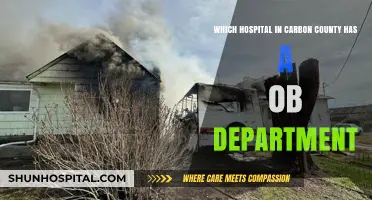Carbon County OB Care: Which Hospital Offers Obstetric Services?