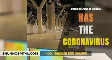 Chicago Hospitals Responding to Coronavirus: Which One is Leading the Fight?
