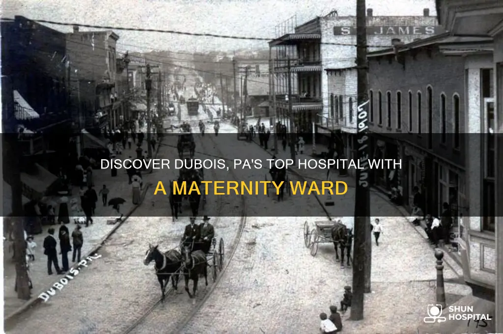 which hospital in dubois pa has a maternity ward