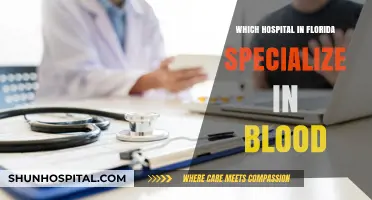 Florida's Top Hospitals Specializing in Blood Disorders and Treatments