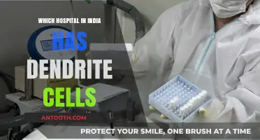 Top Indian Hospitals Offering Dendritic Cell Therapy: A Comprehensive Guide