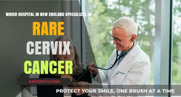 New England's Leading Hospital for Rare Cervix Cancer Treatment