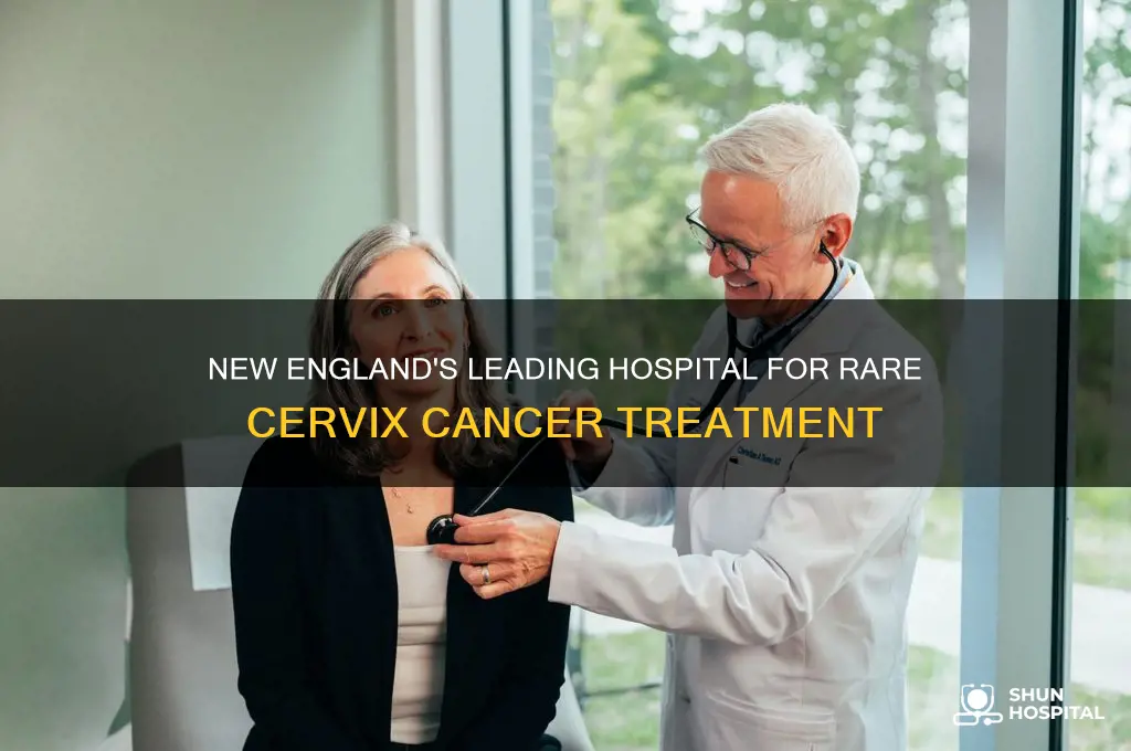 which hospital in new england specializes in rare cervix cancer