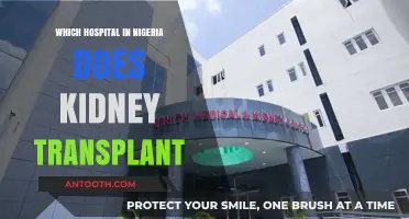 Top Nigerian Hospitals Offering Kidney Transplants: A Comprehensive Guide