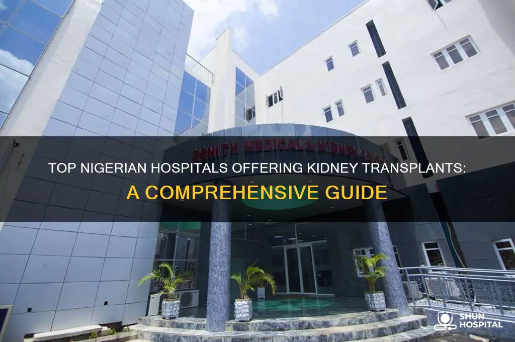 which hospital in nigeria does kidney transplant