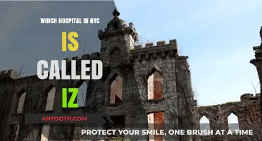 Discovering NYC's 'IZ' Hospital: Unveiling the Mystery Behind the Name