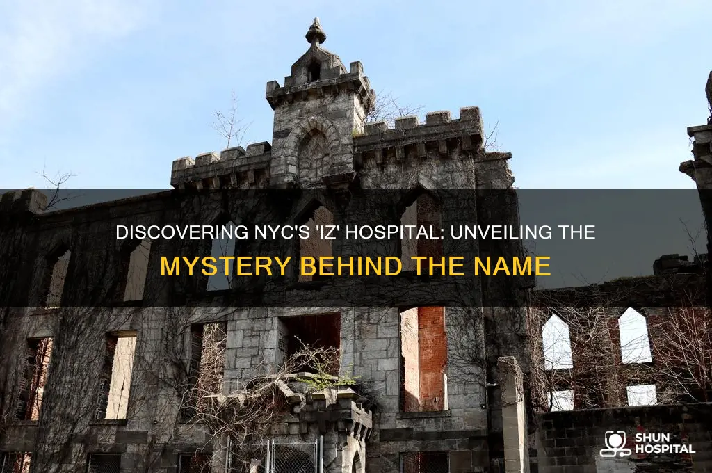 which hospital in nyc is called iz