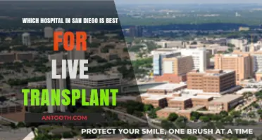 Top San Diego Hospitals for Successful Live Organ Transplants