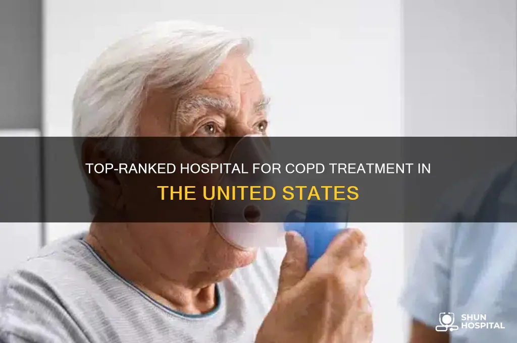 which hospital is 1 in the nation for copd