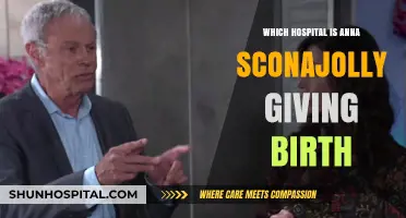 Anna Sconajolly's Birth Hospital: Where She's Welcoming Her Baby