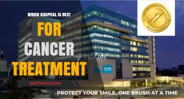 Top Cancer Treatment Hospitals: Expert Care and Cutting-Edge Therapies